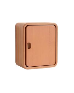 Ash Crossing Wall-Mounted Laundry Cabinet - Terracotta