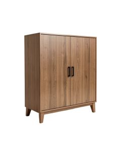 Xander 2 Door Accent Cabinet (synthetic illustration; no displayed measurements)