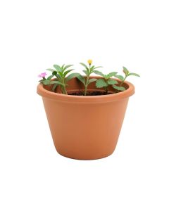 Flower House Planter Fairy Garden