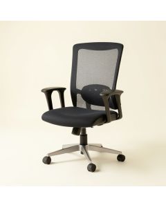 Gayla Mesh Executive Chair (synthetic illustration; no displayed measurements)