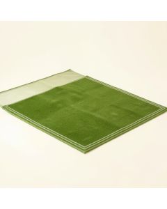 Bay Crossing Rectangular Outdoor Rug - Green (synthetic illustration; no displayed measurements)