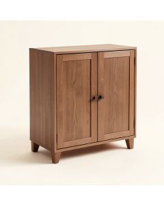 Storage 2 Door Accent Cabinet (synthetic illustration; no displayed measurements)