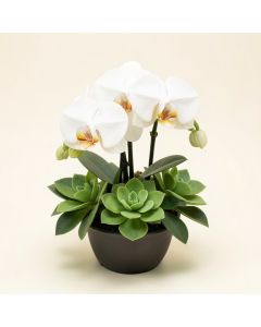 39 '' Hx30 '' W Phalaenopsis Orchid & Succulent Silk Flower Arrangement -White/Green (synthetic illustration; no displayed measurements)