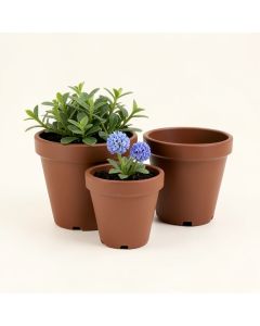 Trym 3 - Piece Water Hyacinth , Steel , And Plastic Pot Planter Set (synthetic illustration; no displayed measurements)