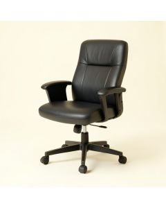 Pappalardo Executive Chair (synthetic illustration; no displayed measurements)