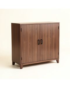 Hayford Dongbei-Style 2 Door Cabinet (synthetic illustration; no displayed measurements)