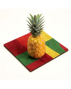 Ashby Pineapple Welcome 29 In . X 17 In . Non-Slip Outdoor Door Mat (synthetic illustration; no displayed measurements)