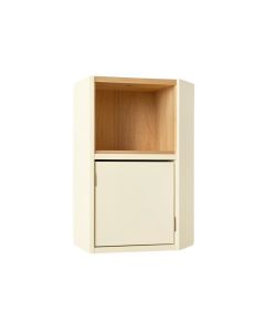 Elm Branch Wall-Mounted Entry Cabinet - Cream (synthetic illustration; no displayed measurements)
