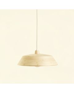 Sage Crest Pendant Light Suspended From One Plain Cable - Ivory (synthetic illustration; no displayed measurements)