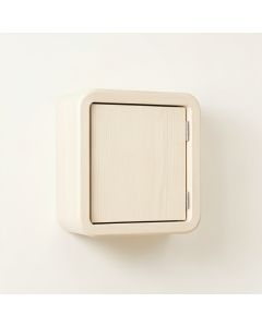 Aspen Bluff Wall-Mounted Entry Cabinet - Ivory (synthetic illustration; no displayed measurements)