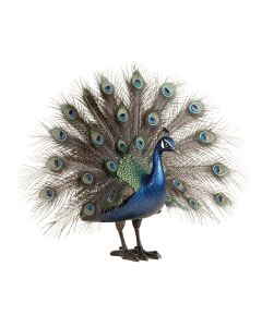 Brass Peacock