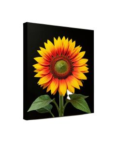 Sunflower Graphic Art On Wrapped Canvas