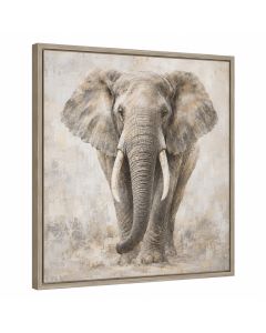 Elephant Framed Graphic Art