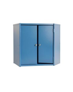 Briar Brook Wall-Mounted Laundry Cabinet - Blue (synthetic illustration; no displayed measurements)