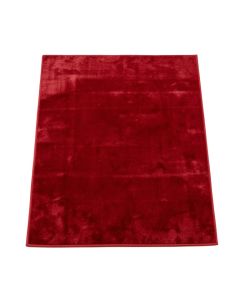 Donnal Ombre Red Area Rug (synthetic illustration; no displayed measurements)
