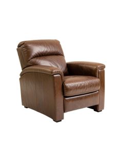 Dayse 31 '' Wide Genuine Leather Manual Standard Recliner (synthetic illustration; no displayed measurements)
