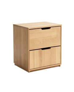 Allicen 2 -Drawer Storage Cabinet