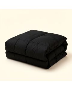 Torain Comforter Set (synthetic illustration; no displayed measurements)