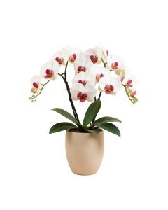 Phalaenopsis Artificial Orchids Floral Arrangement In Vase