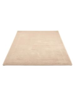 Joli Beige Area Rug (synthetic illustration; no displayed measurements)