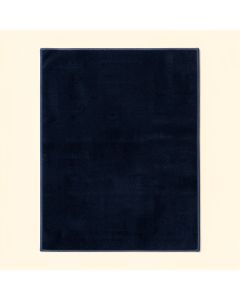 Hillsby Garnet/Navy Area Rug (synthetic illustration; no displayed measurements)