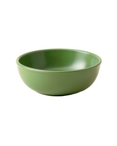 Holly Branch Dining Bowl - Green