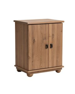 Gulley 2 Door Corner Accent Cabinet (synthetic illustration; no displayed measurements)