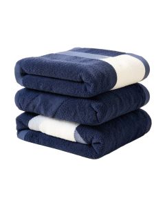 Alexandro 2 Piece 100 % Cotton Beach Towel Set (synthetic illustration; no displayed measurements)