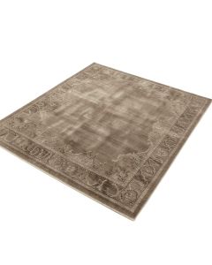 Asheville Oriental Taupe Area Rug (synthetic illustration; no displayed measurements)