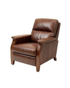 Dhanpat 34 '' Wide Leather Match Manual Standard Recliner (synthetic illustration; no displayed measurements)