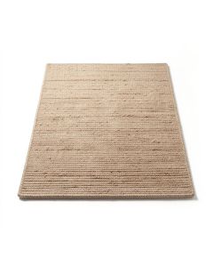 Waldenburg Flatweave Jute/Sisal Beige Area Rug (synthetic illustration; no displayed measurements)