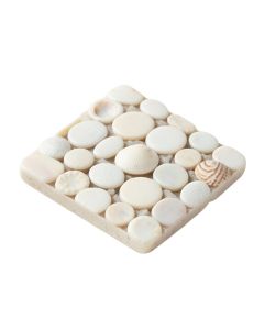 Shore 1 '' X 1 '' Seashell Random Mosaic Tile