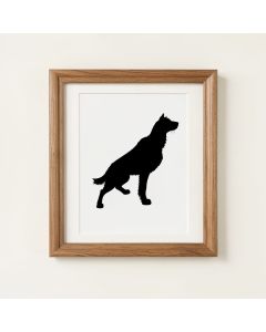 `` Zen & Rock '' By Philippe Hugonnard Framed Photographic Print (synthetic illustration; no displayed measurements)