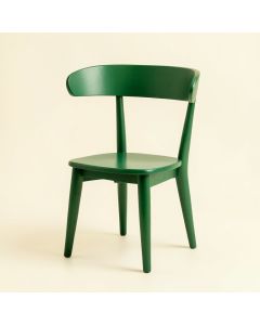 Sage Brook Dining Chair - Green (synthetic illustration; no displayed measurements)