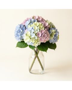 Hydrangea Flower Arrangement In Glass Vase (synthetic illustration; no displayed measurements)