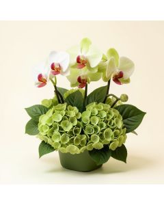 32 '' Hx28 '' W Phalaenopsis , Dendrobium Orchid & Hydrangea Silk Flower Arrangement -Orchid/Green (synthetic illustration; no displayed measurements)