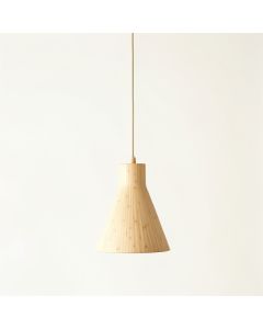 Olive Crest Pendant Light Suspended From One Plain Cable - Beige (synthetic illustration; no displayed measurements)