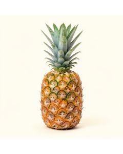 Pineapple (synthetic illustration; no displayed measurements)