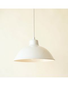 Ash Arc Pendant Light Suspended From One Plain Cable (synthetic illustration; no displayed measurements)