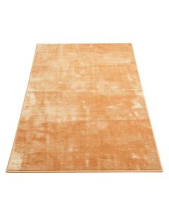 Hillsby Oriental Orange/Beige Area Rug