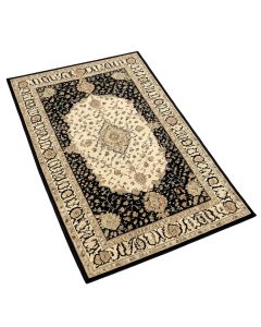 Indira Oriental Black/Ivory Area Rug (synthetic illustration; no displayed measurements)