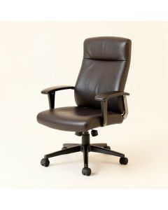 Kaycee Mid Back Task Chair (synthetic illustration; no displayed measurements)