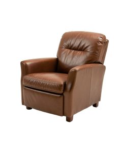 Desertderrin Electric Leather Recliner