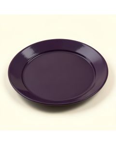 7 '' Melamine Appetizer Plate (synthetic illustration; no displayed measurements)