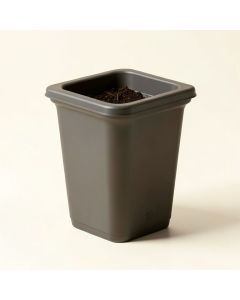 Demonte Self Watering Plastic Window Box Planter (synthetic illustration; no displayed measurements)