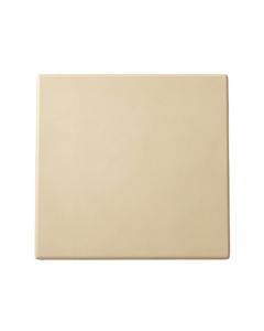 Holly Brook Uninstalled Square Decorative Tile - Beige