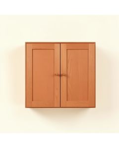 Willow Dell Wall-Mounted Entry Cabinet - Terracotta (synthetic illustration; no displayed measurements)