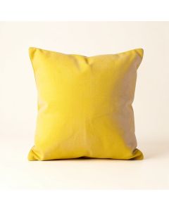 Plump Light Decorative Square Pillow Cover & Insert (synthetic illustration; no displayed measurements)