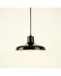 Lake Bend Pendant Light Suspended From One Plain Cable - Black (synthetic illustration; no displayed measurements)