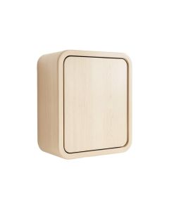 Juniper Bend Wall-Mounted Laundry Cabinet - Beige (synthetic illustration; no displayed measurements)